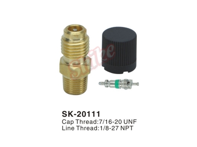 SK-20111