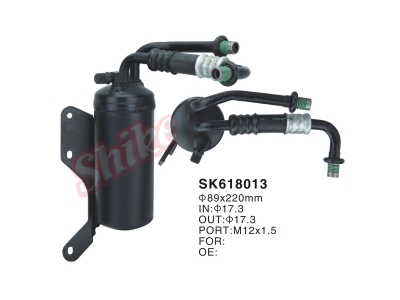 SK618013