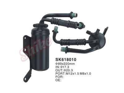 SK618010