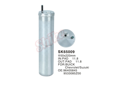 SK-65009