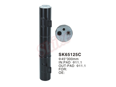 SK-65125C
