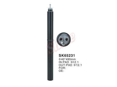 SK-65231