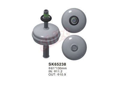 SK-65238