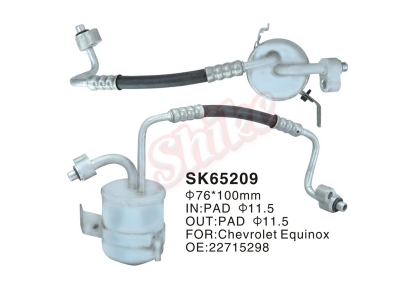 SK-65209