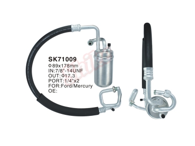 SK-71009