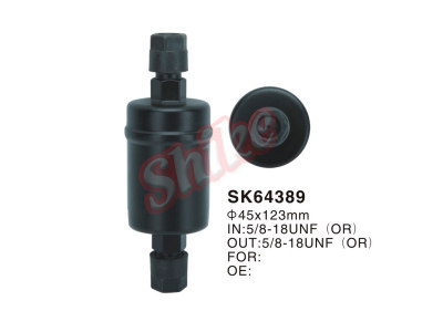 SK64389