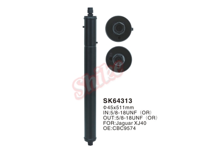 SK64313